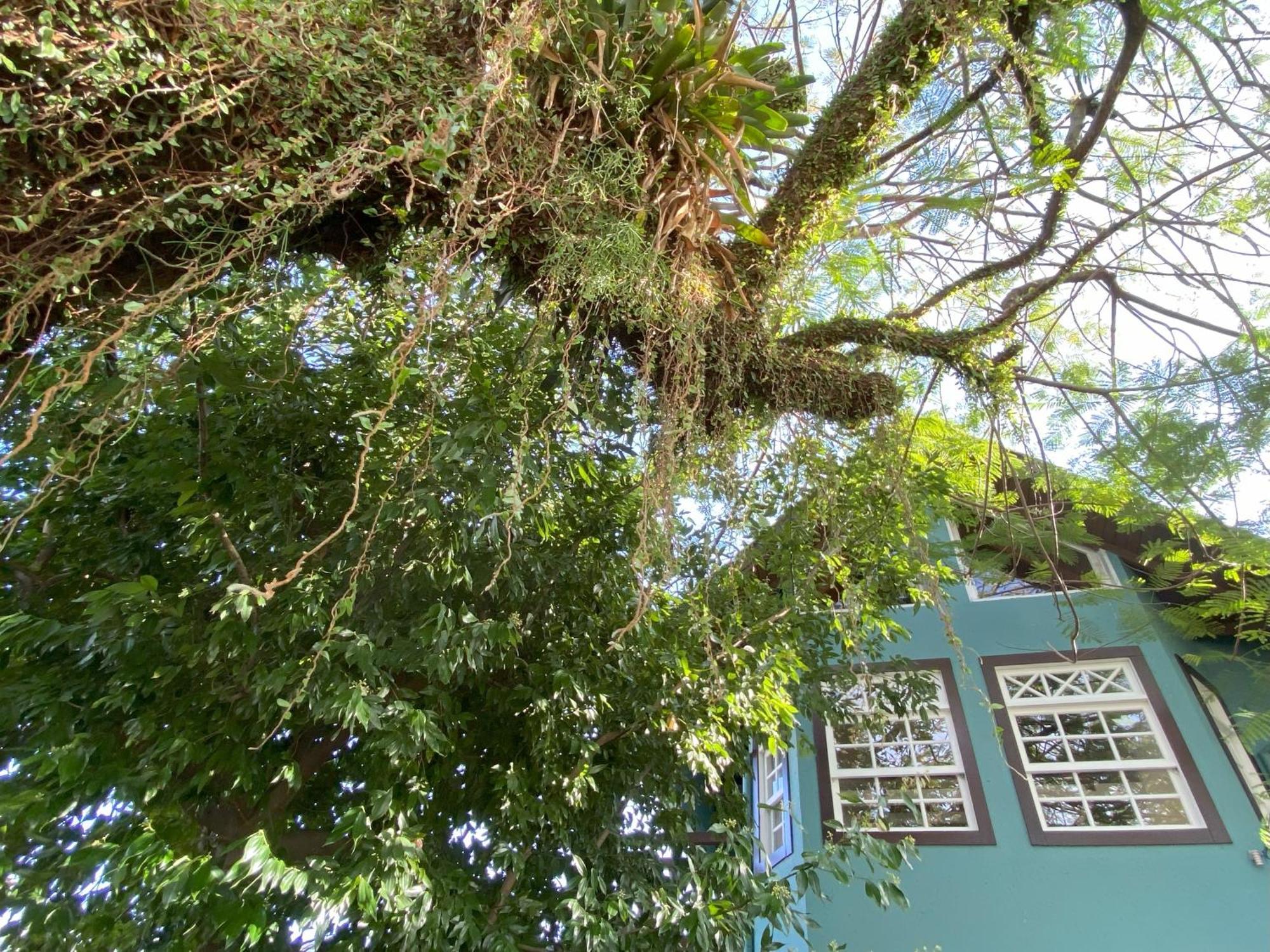 Solar Das Petalas Guest House フロリアノポリス エクステリア 写真
